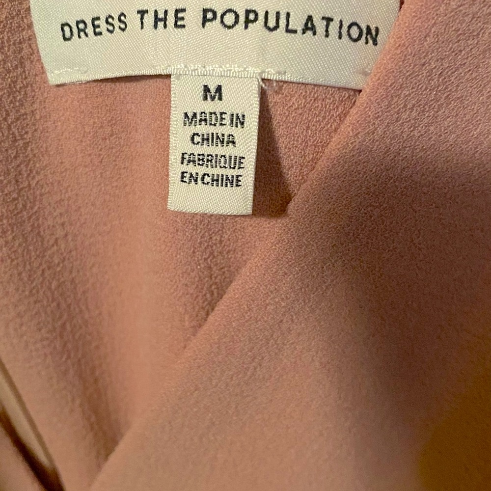 Dress the Population Sandra V Neck Gown: Blush - Picture 5 of 9